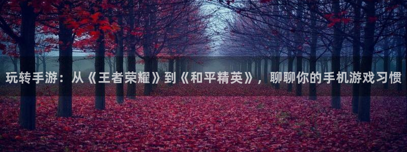 优贝娱乐平台注册：玩转手游：从《王者荣耀》到《和平精英》，聊