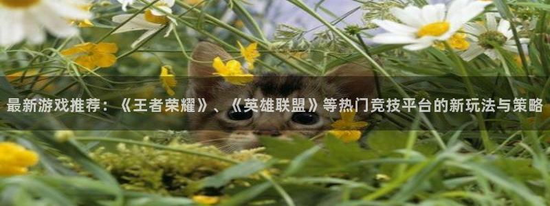 优贝娱乐注册平台：最新游戏推荐：《王者荣耀》、《英雄联盟》等