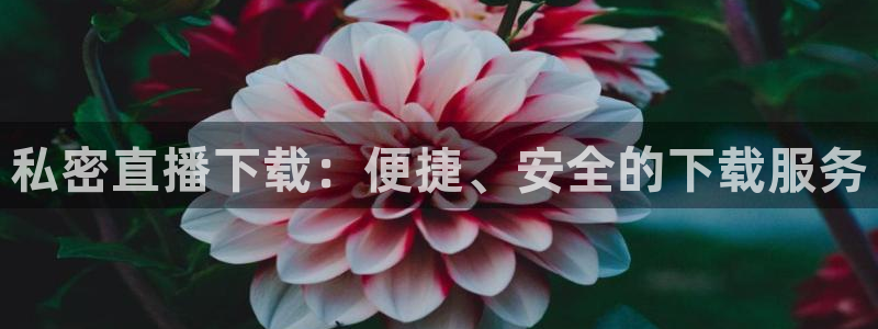 足球直播小九：私密直播下载：便捷、安全的下载服务