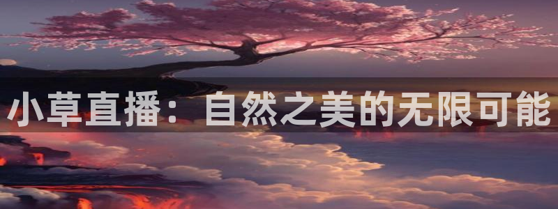 小九篮球直播：小草直播：自然之美的无限可能
