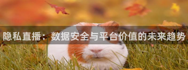 小九直播免费足球观看：隐私直播：数据安全与平台价值的未来趋势