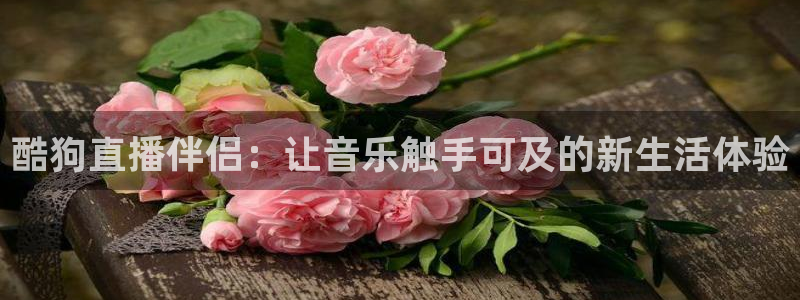 小九直播体育免费直播：酷狗直播伴侣：让音乐触手可及的新生活体验