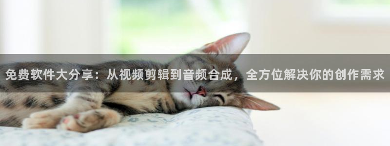 小九直播足球在线直播：免费软件大分享：从视频剪辑到音频合成，全方位解决你的创作需求